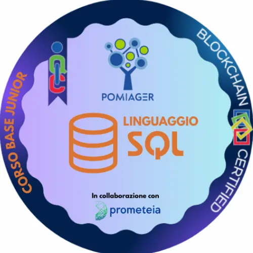 Badge pubblico 21830